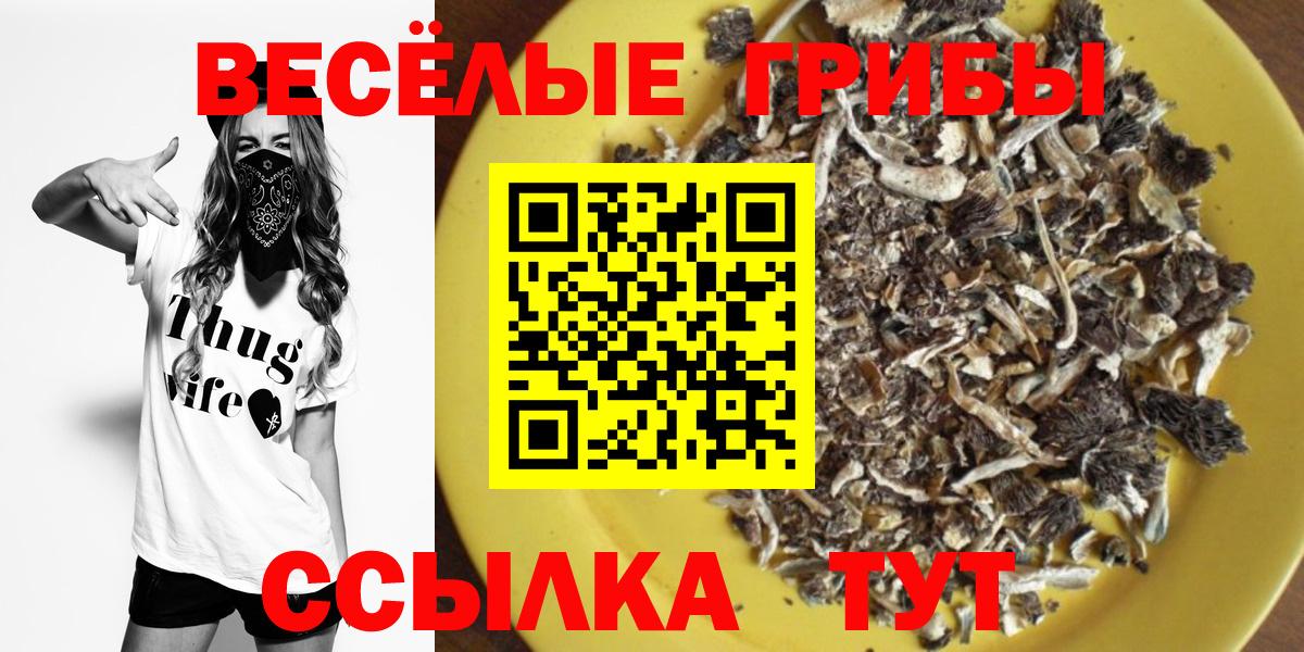 Галлюциногенные грибы GOLDEN TEACHER  Галлюциногенные грибы ЛСД  Вход с VPN  Петропавловск-Камчатский 