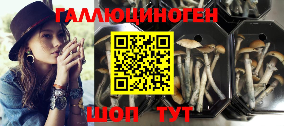 Псилоцибиновые грибы MAGIC MUSHROOMS Петропавловск-Камчатский